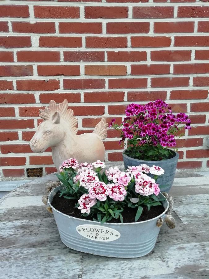 Wings Creek Ranch B&B Zutendaal Exteriör bild